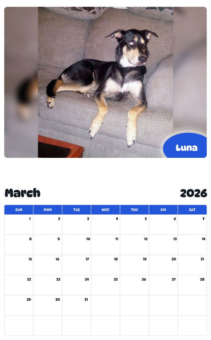 November 2025 - October 2026 Luna - Pawidols Pet Calendar