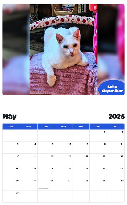 2026 - 2027 Luke Skywalker - Pawidols Pet Calendar