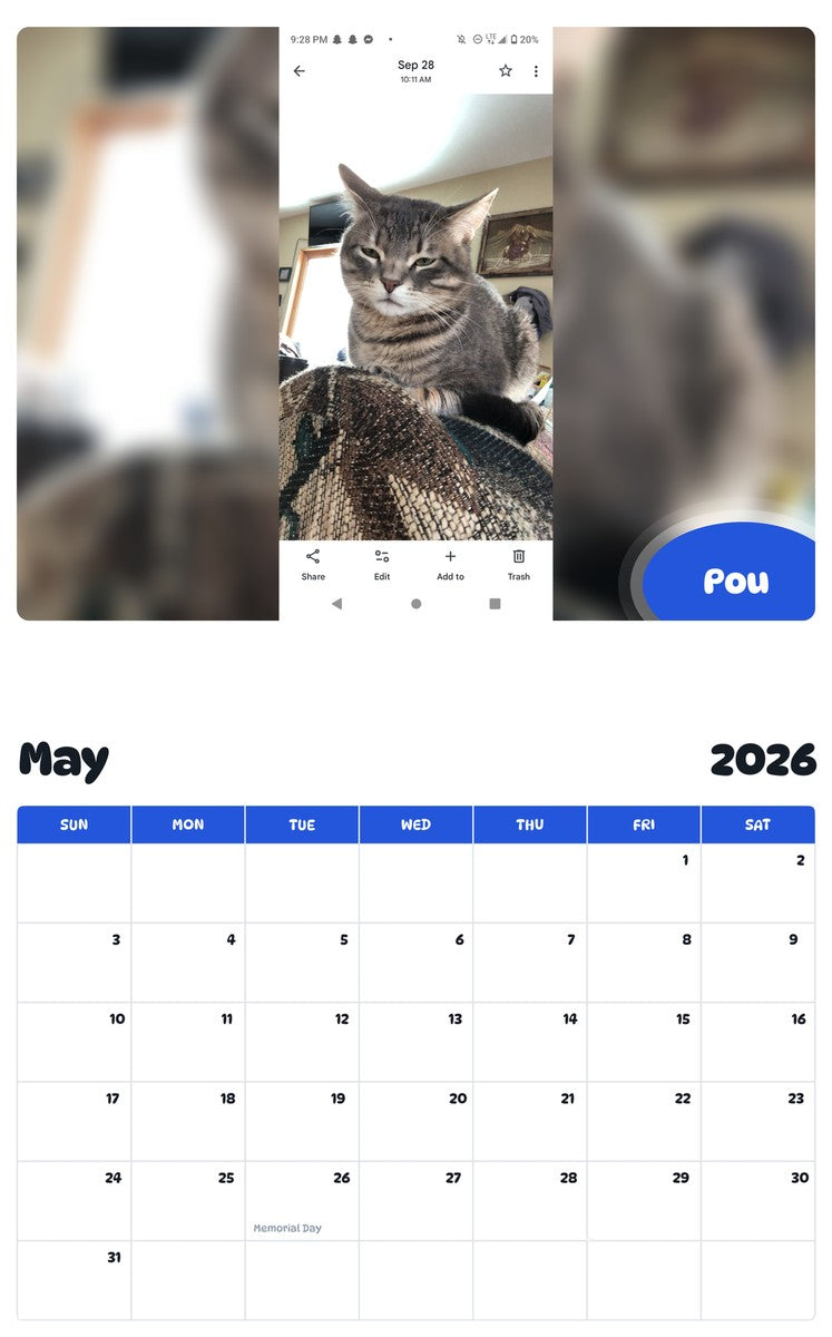 2026 - 2027 Pou - Pawidols Pet Calendar