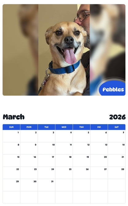 November 2025 - October 2026 Pebbles - Pawidols Pet Calendar