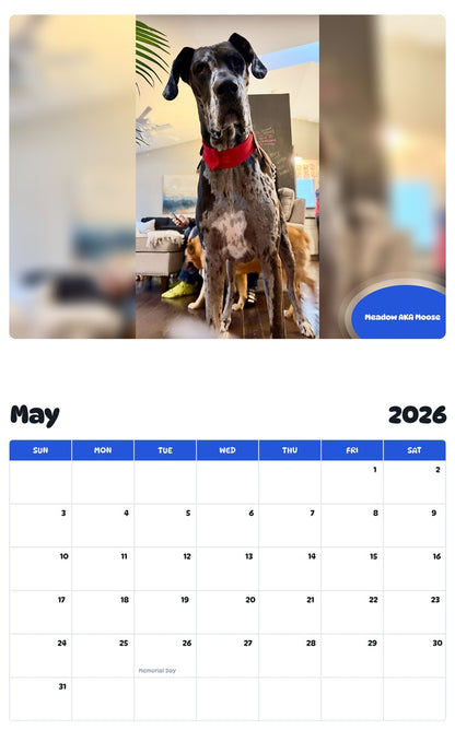 2026 - 2027 Meadow AKA Moose - Pawidols Pet Calendar