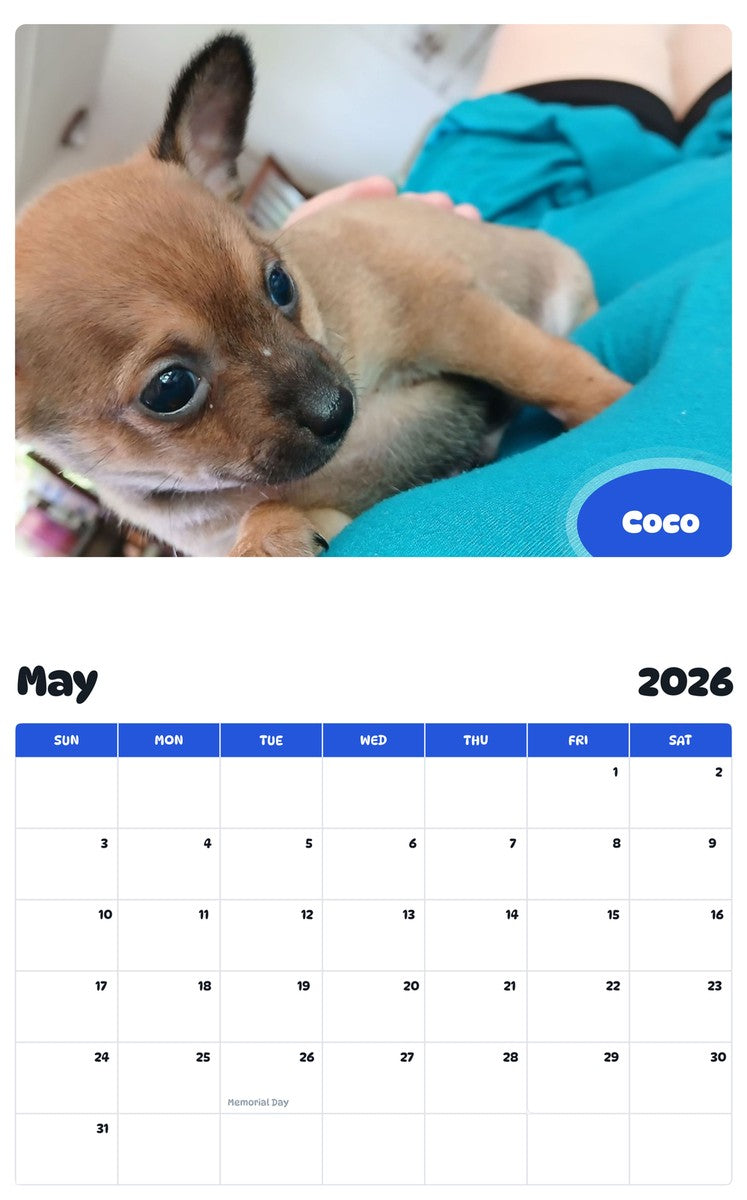 2026 - 2027 Coco - Pawidols Pet Calendar