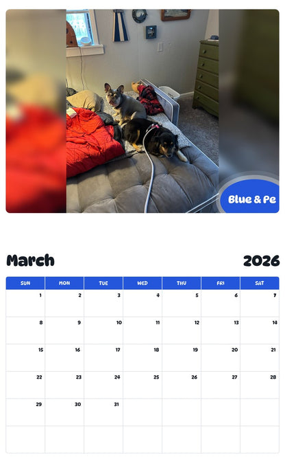 November 2025 - October 2026 Blue & Pe - Pawidols Pet Calendar