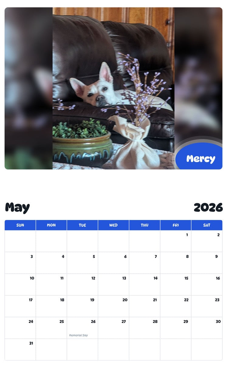 2026 - 2027 Mercy - Pawidols Pet Calendar