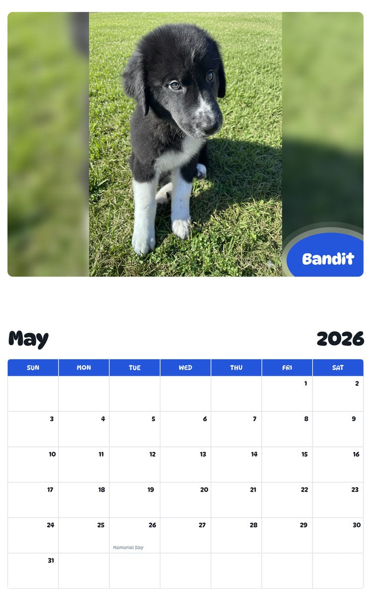 2026 - 2027 Bandit - Pawidols Pet Calendar