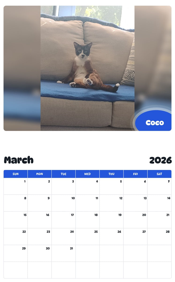 November 2025 - October 2026 Coco - Pawidols Pet Calendar
