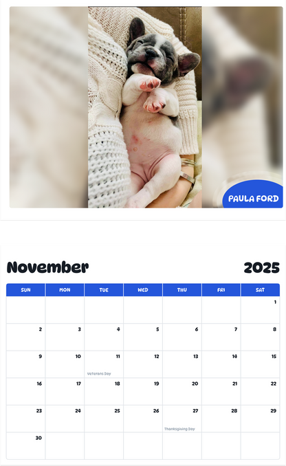 July 2025 - June 2026 Paula Ford - Pawidols Pet Calendar