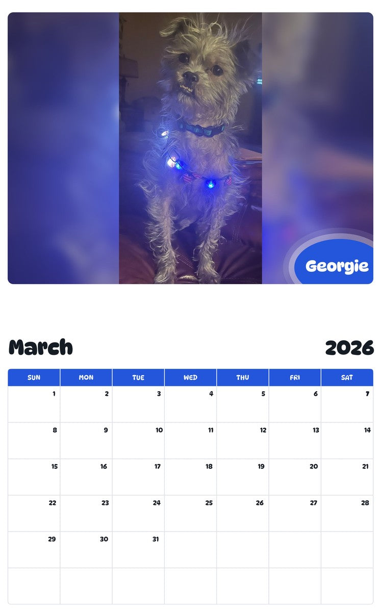 November 2025 - October 2026 Georgie - Pawidols Pet Calendar