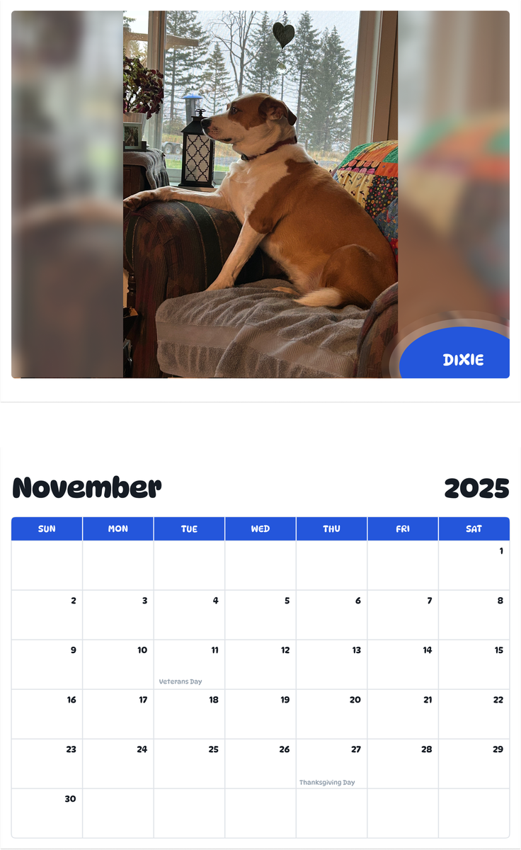 July 2025 - June 2026 Dixie - Pawidols Pet Calendar