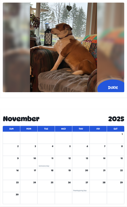 July 2025 - June 2026 Dixie - Pawidols Pet Calendar