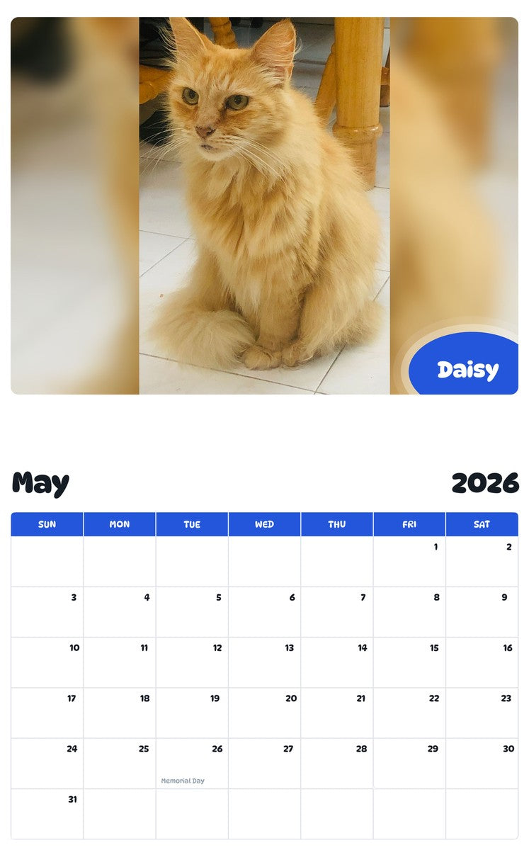 2026 - 2027 Daisy - Pawidols Pet Calendar