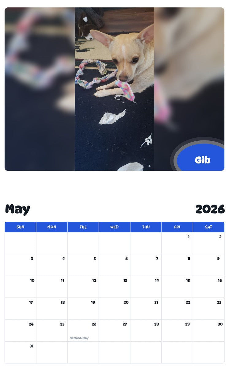 2026 - 2027 Gib - Pawidols Pet Calendar