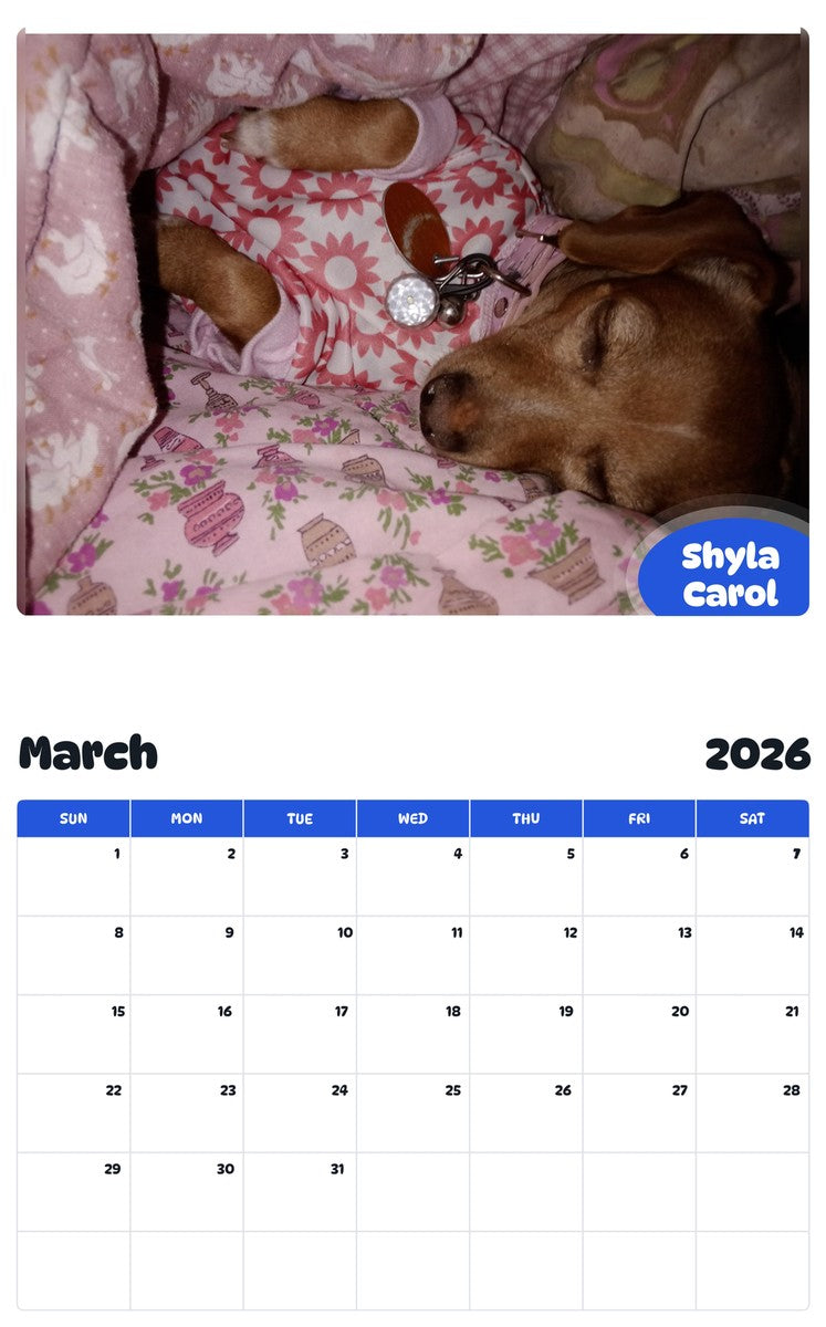 November 2025 - October 2026 Shyla Carol - Pawidols Pet Calendar