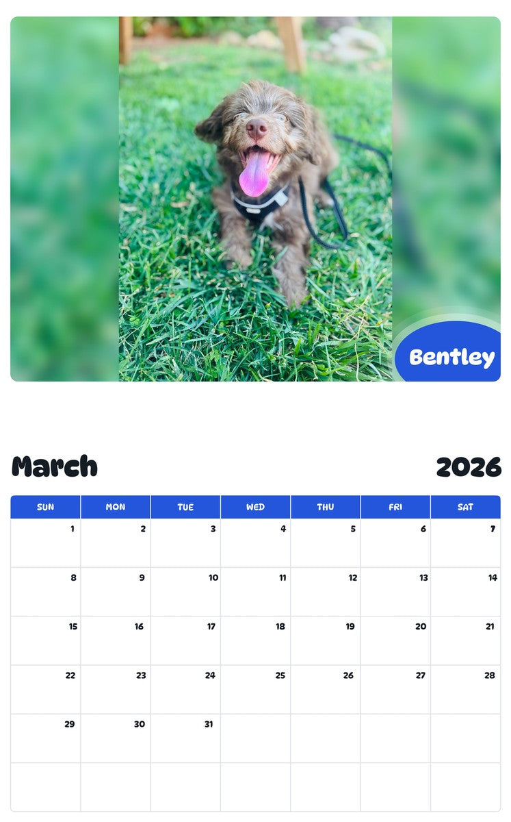November 2025 - October 2026 Bentley - Pawidols Pet Calendar
