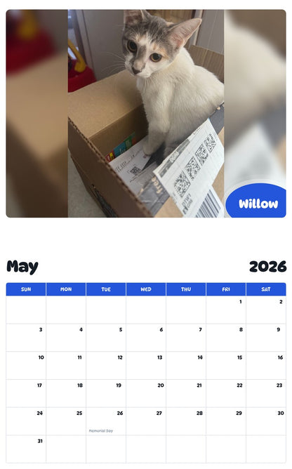 2026 - 2027 Willow - Pawidols Pet Calendar