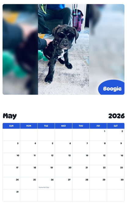 2026 - 2027 Boogie - Pawidols Pet Calendar