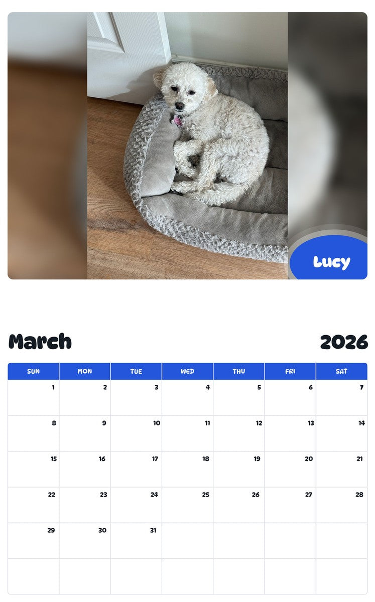 November 2025 - October 2026 Lucy - Pawidols Pet Calendar