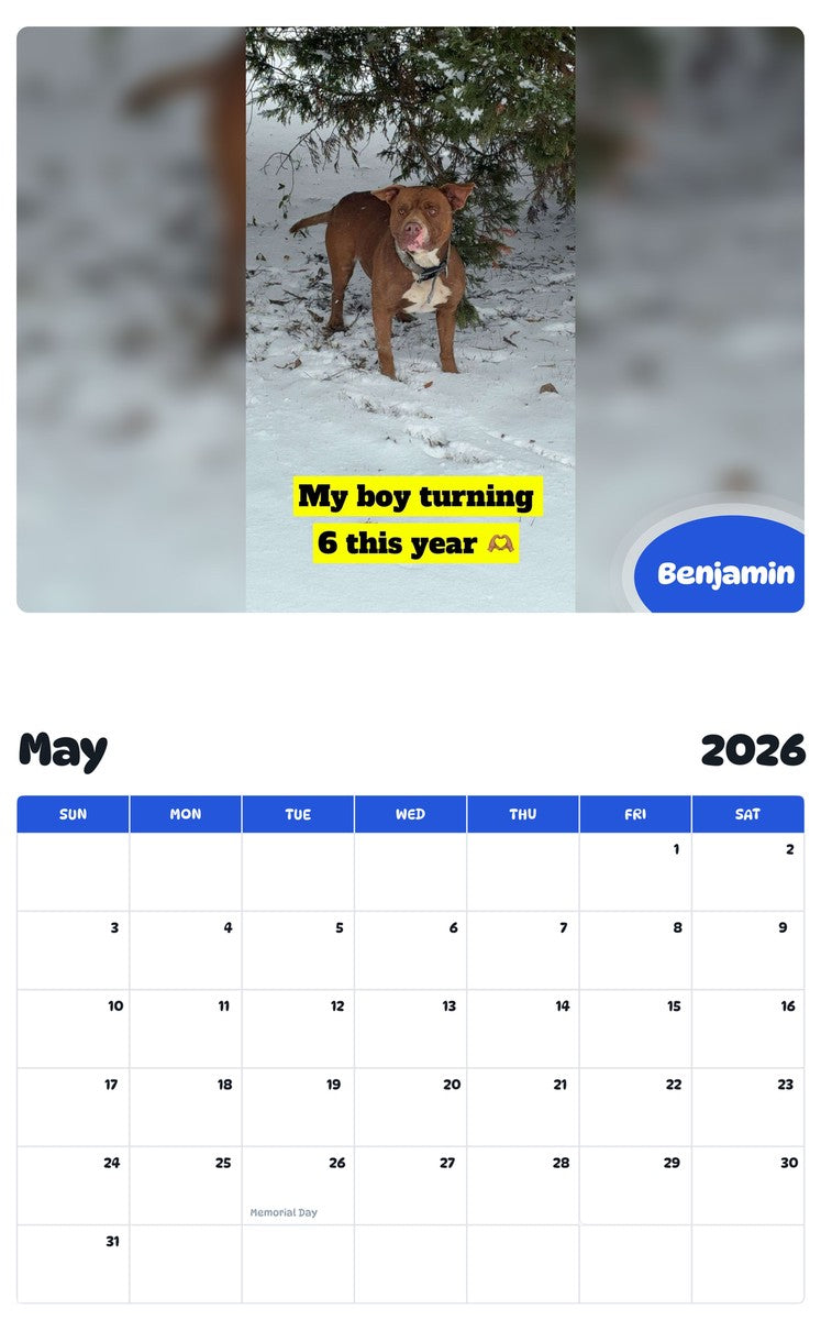 2026 - 2027 Benjamin - Pawidols Pet Calendar