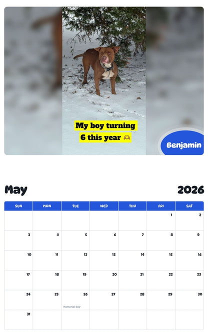 2026 - 2027 Benjamin - Pawidols Pet Calendar