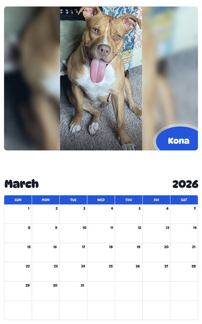 November 2025 - October 2026 Kona - Pawidols Pet Calendar