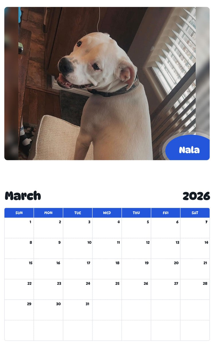 November 2025 - October 2026 Nala - Pawidols Pet Calendar