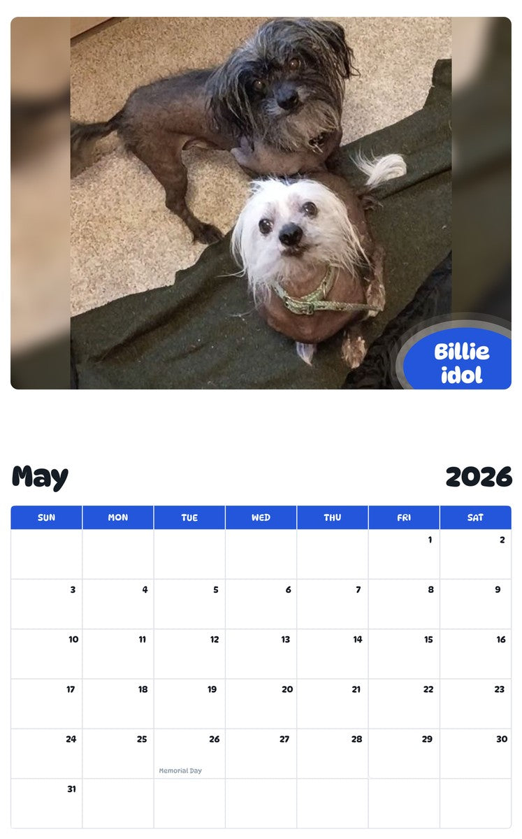 2026 - 2027 Billie idol - Pawidols Pet Calendar
