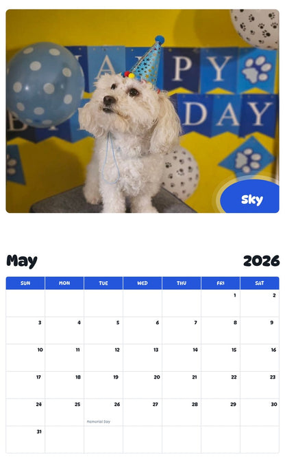 2026 - 2027 Sky - Pawidols Pet Calendar