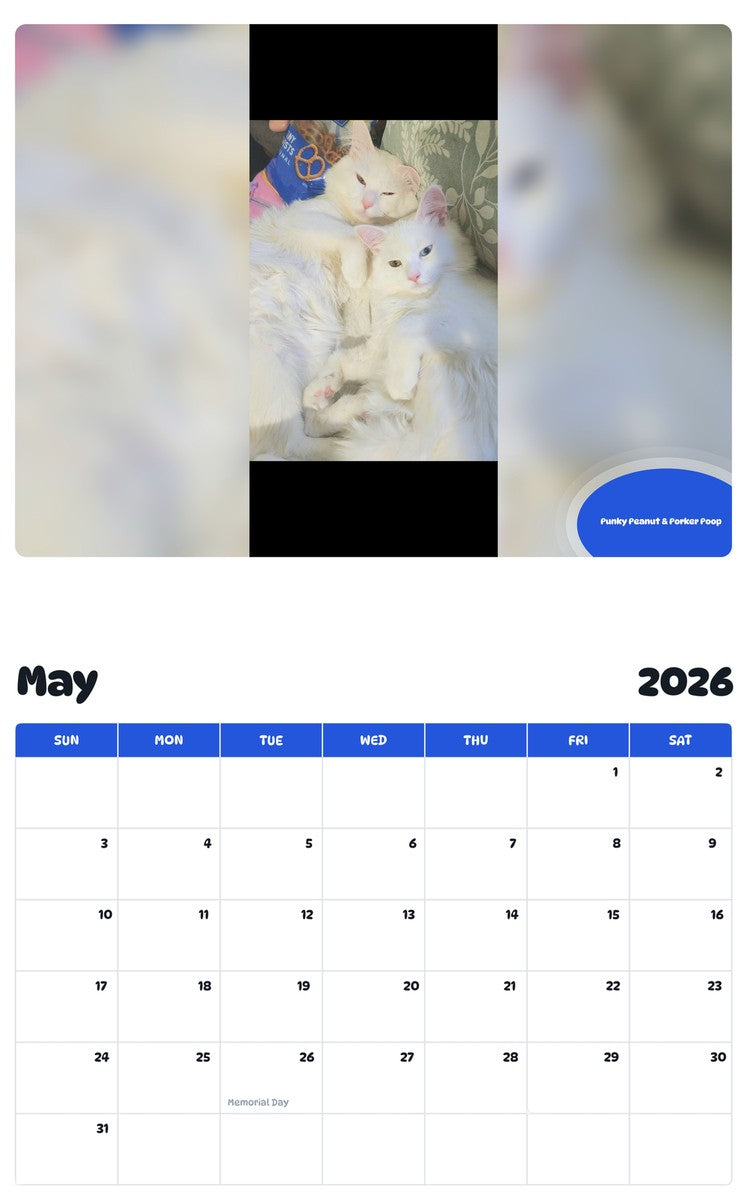 2026 - 2027 Punky Peanut & Porker Poop - Pawidols Pet Calendar