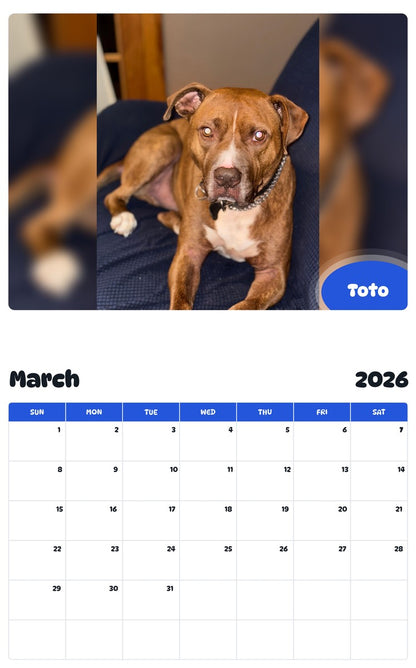November 2025 - October 2026 Toto - Pawidols Pet Calendar