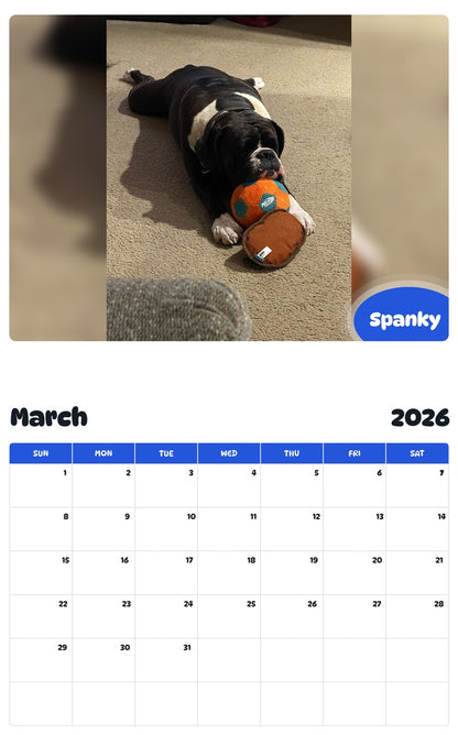 November 2025 - October 2026 Spanky - Pawidols Pet Calendar