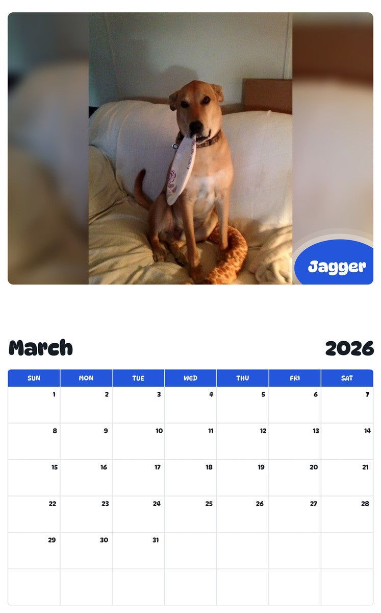 November 2025 - October 2026 Jagger - Pawidols Pet Calendar