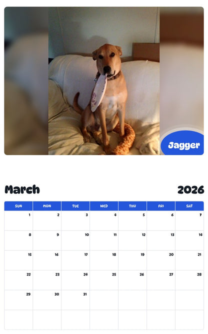 November 2025 - October 2026 Jagger - Pawidols Pet Calendar