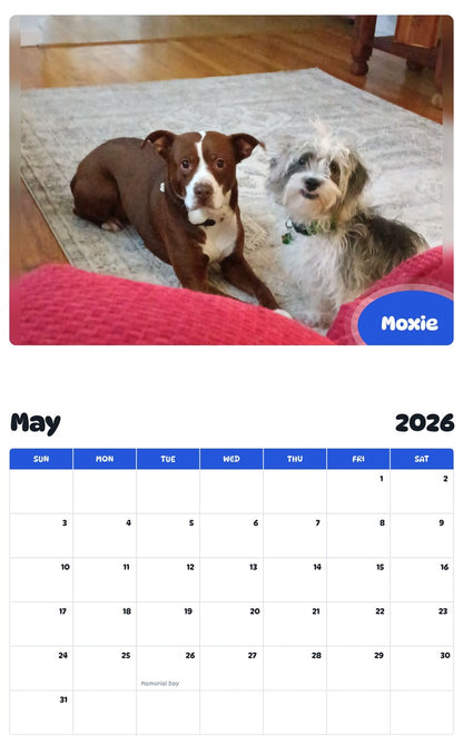 2026 - 2027 Moxie - Pawidols Pet Calendar