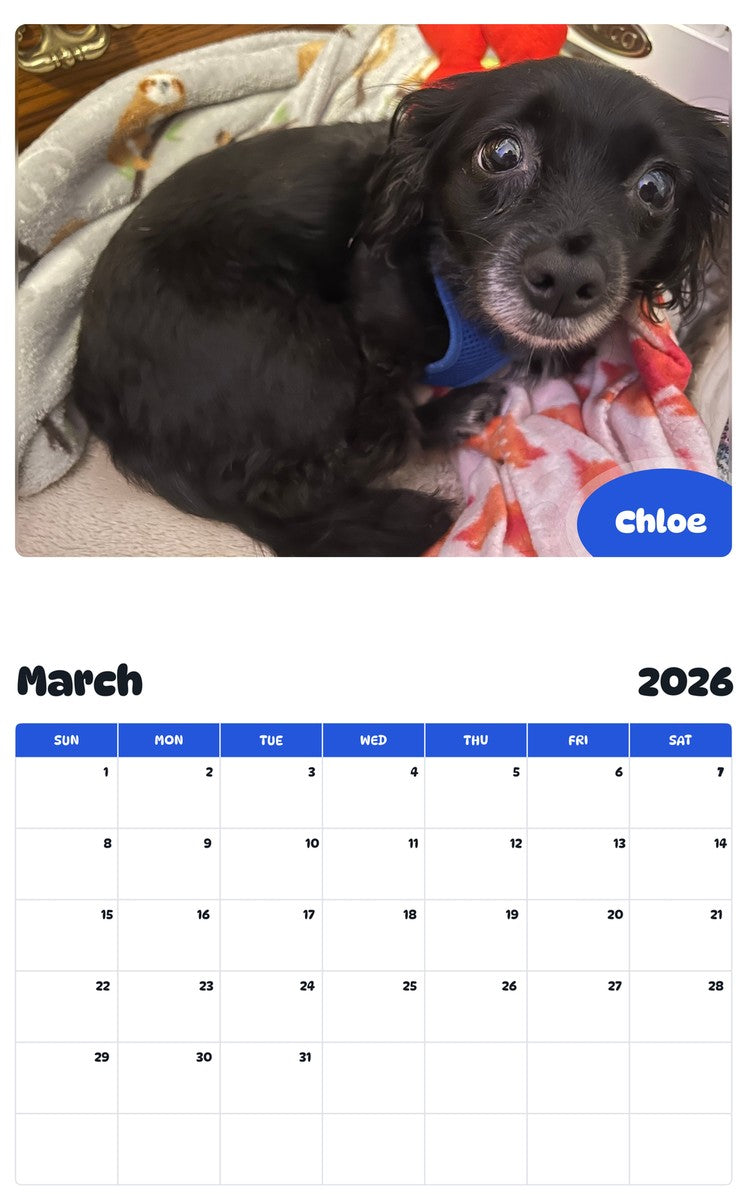 November 2025 - October 2026 Chloe - Pawidols Pet Calendar