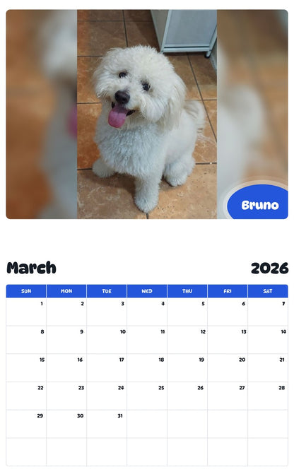 November 2025 - October 2026 Bruno - Pawidols Pet Calendar