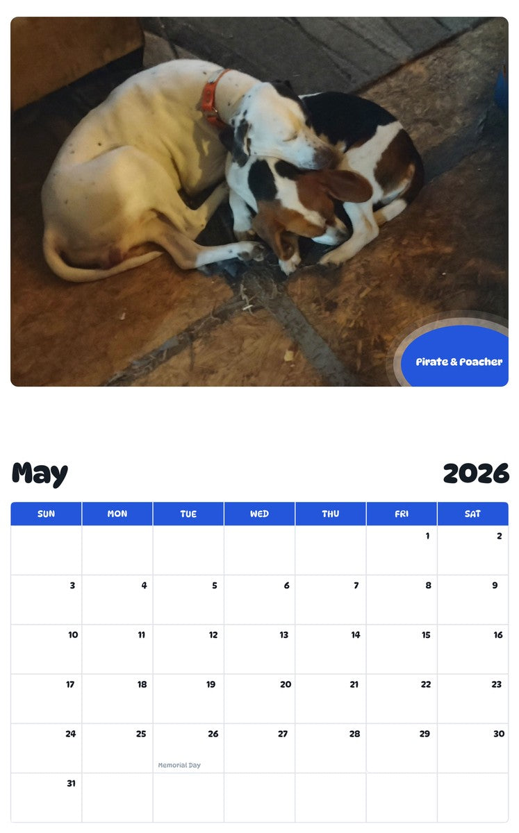 2026 - 2027 Pirate & Poacher - Pawidols Pet Calendar
