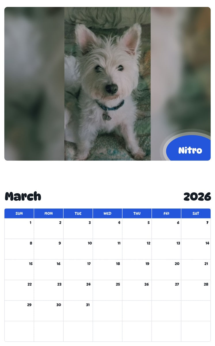 November 2025 - October 2026 Nitro - Pawidols Pet Calendar