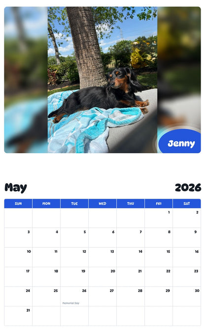 2026 - 2027 Jenny - Pawidols Pet Calendar