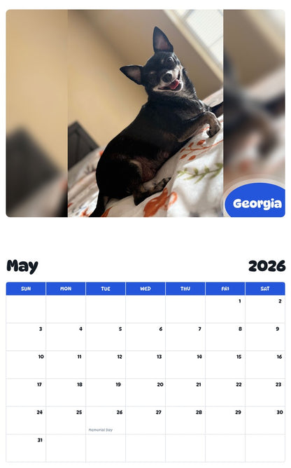 2026 - 2027 Georgia - Pawidols Pet Calendar