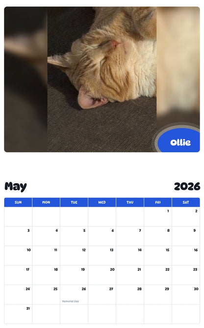 2026 - 2027 Ollie - Pawidols Pet Calendar