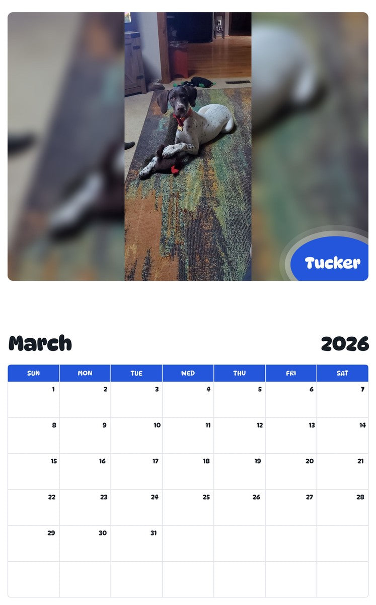November 2025 - October 2026 Tucker - Pawidols Pet Calendar