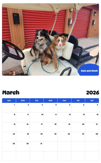 November 2025 - October 2026 Rein and Cinch - Pawidols Pet Calendar