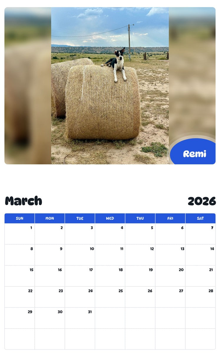 November 2025 - October 2026 Remi - Pawidols Pet Calendar