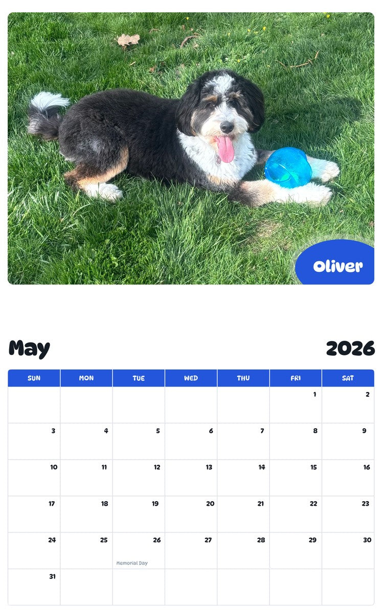 2026 - 2027 Oliver - Pawidols Pet Calendar