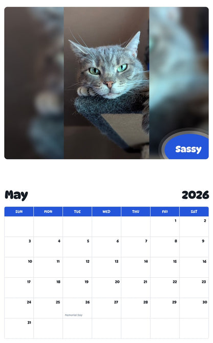 2026 - 2027 Sassy - Pawidols Pet Calendar