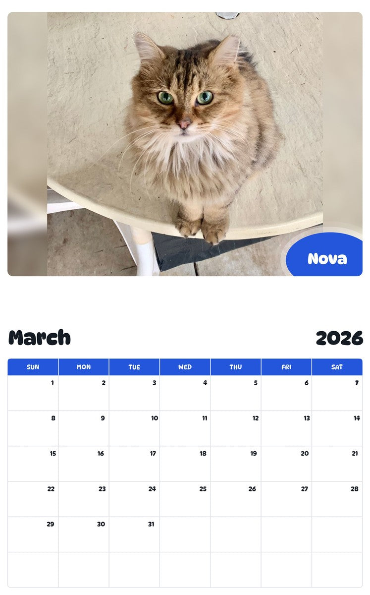 November 2025 - October 2026 Nova - Pawidols Pet Calendar