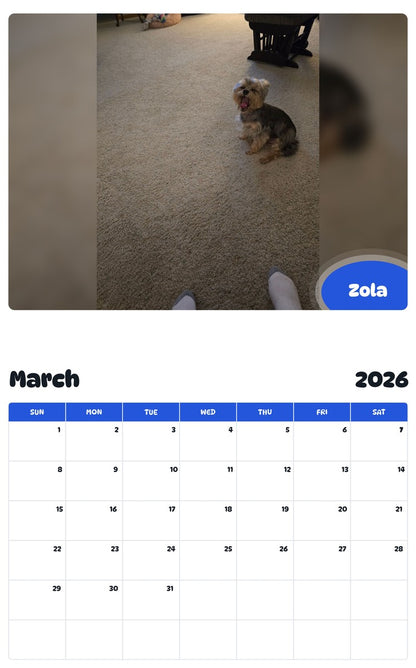 November 2025 - October 2026 Zola - Pawidols Pet Calendar