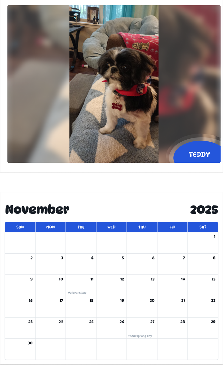 July 2025 - June 2026 Teddy - Pawidols Pet Calendar
