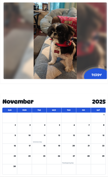 July 2025 - June 2026 Teddy - Pawidols Pet Calendar