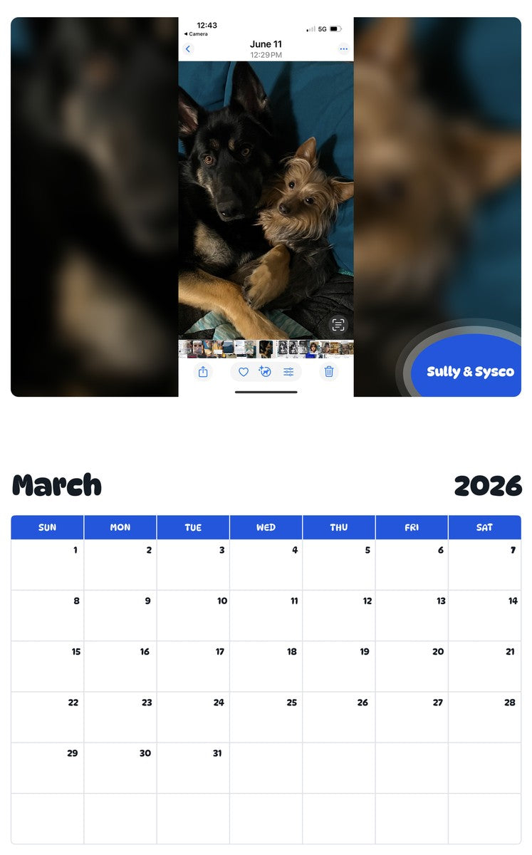 November 2025 - October 2026 Sully & Sysco - Pawidols Pet Calendar